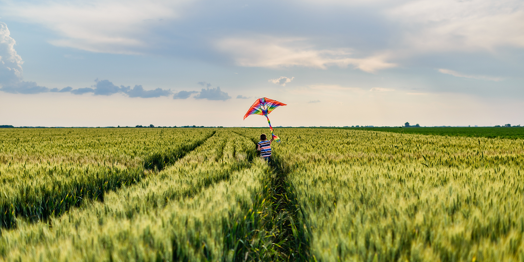 动物庄园 | 51xMI